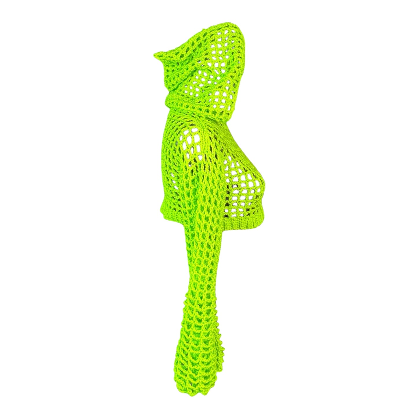 Mesh Crop Top Hoodie